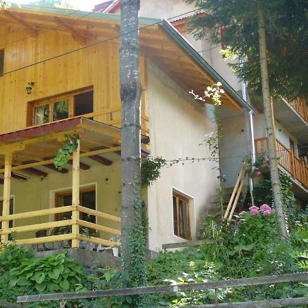 Mountain Sun Guest House Chiflik Ngoại thất bức ảnh