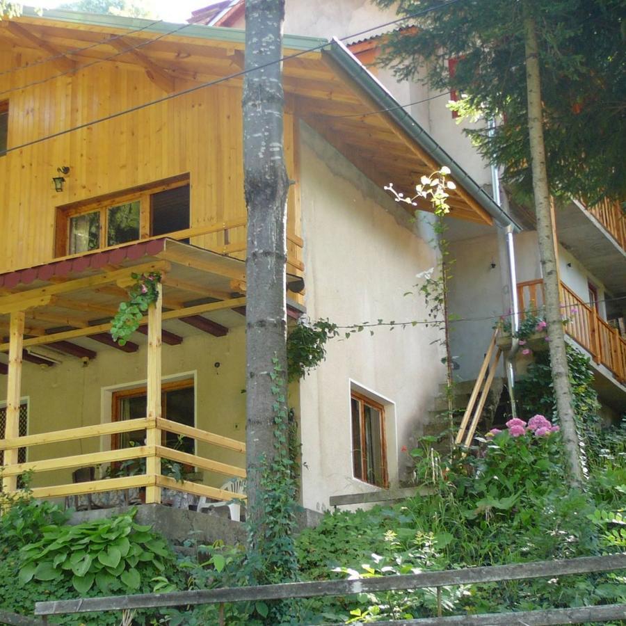 Mountain Sun Guest House Chiflik Ngoại thất bức ảnh